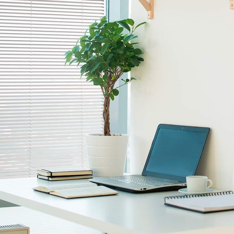 ES GLASS Çift Cam Arası Jaluzi Sistemleri